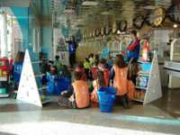 анна семенович похудела