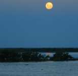 кабачковая икра диета