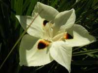 как можно убрать живот