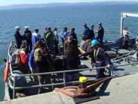 книга диета доктора борменталя