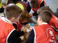 похудеть на 20 кг