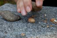 похудеть с помощью таблеток