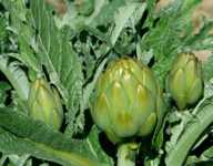 пояс для похудения для мужчин