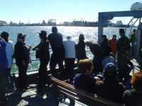 сильные таблетки для похудения