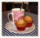 титановый пояс для похудения