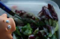 травы для быстрого похудения