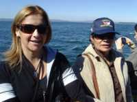 вибромассажный пояс для похудения вибротон